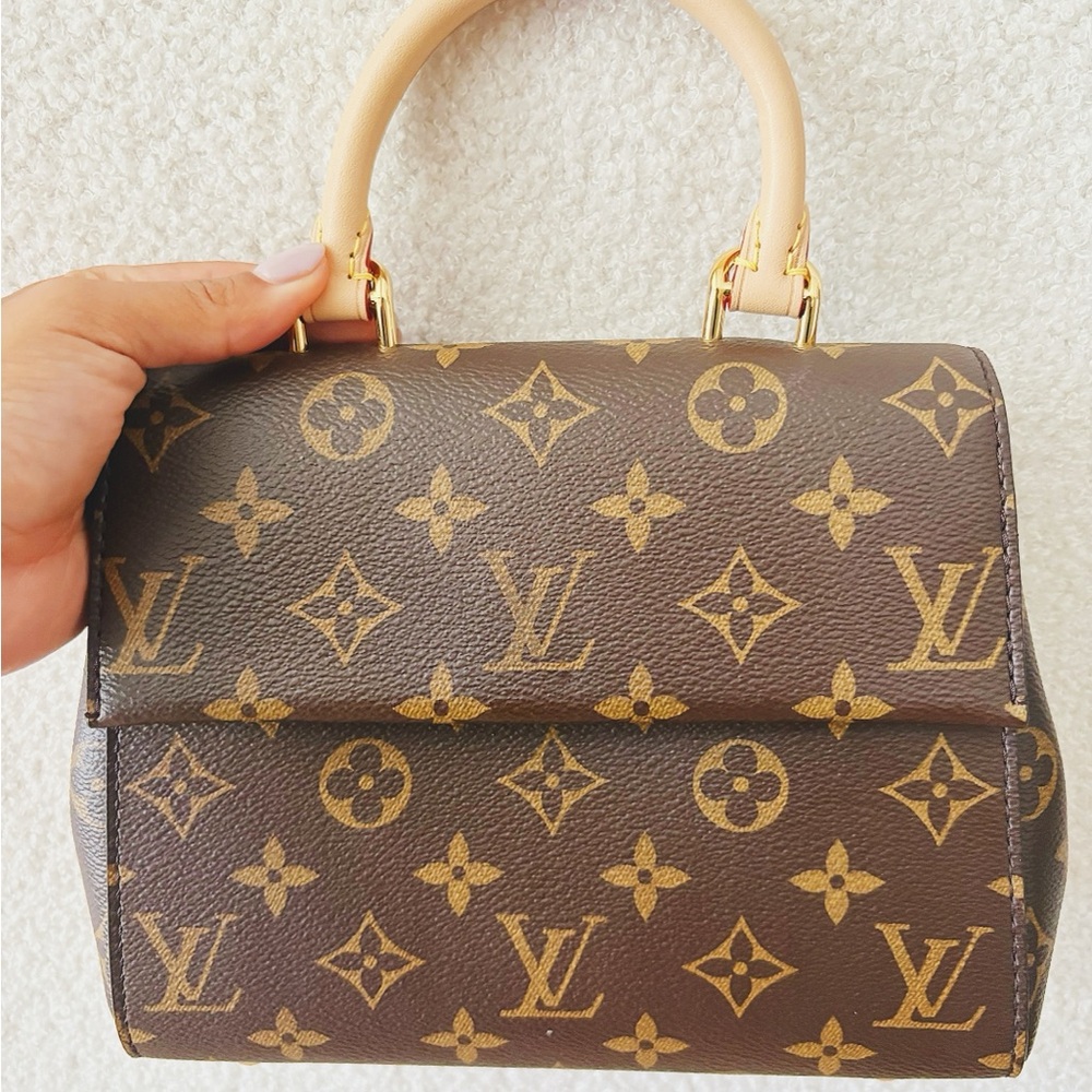 Louis Vuitton Cluny Mini Handbag